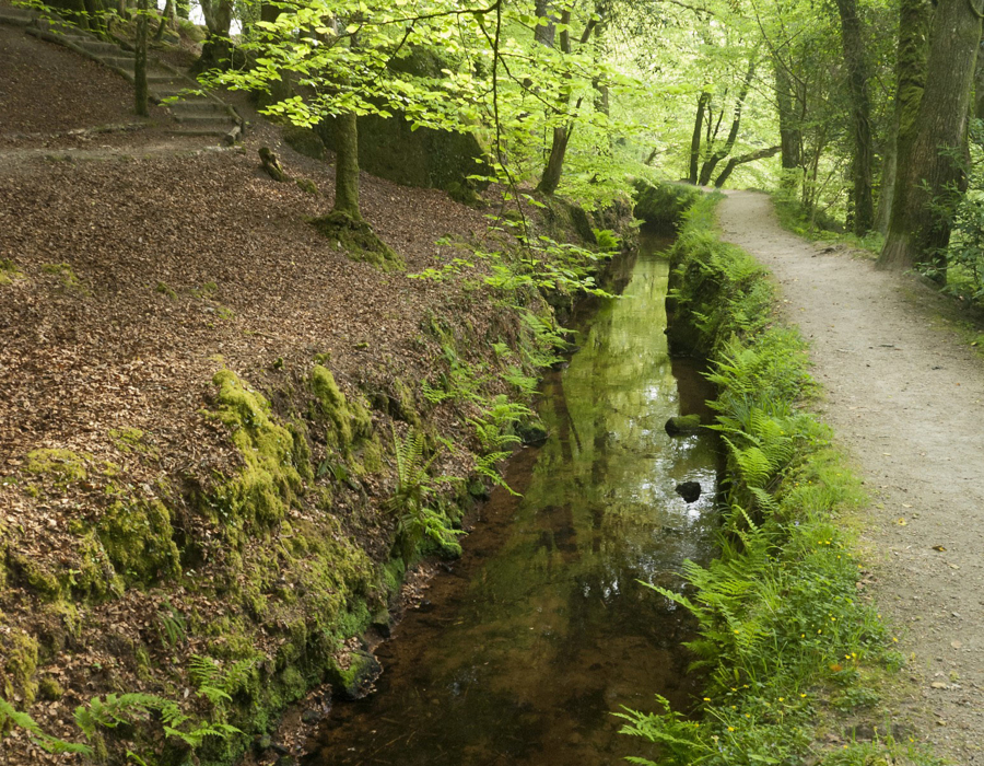Luxulyan Valley, Fowey Consols Leat